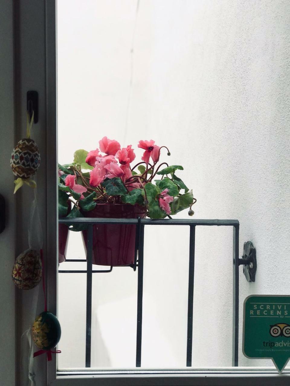 Charming Rooms Opuntia Carloforte (Isola di San Pietro) Exterior foto